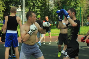 综合格斗赛场焦点！法国队对阵荷兰队，老将回归赛场，再度燃起斗志